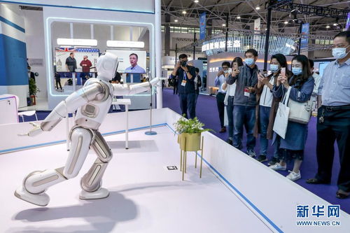 創新科技閃耀數博會 大數據服務賦能未來